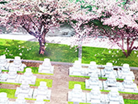 霊園